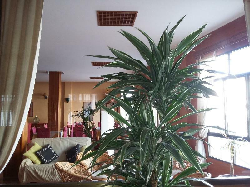 Hotel Tres Jotas Conil โกนิล เด ลาฟรอนเตรา ภายนอก รูปภาพ